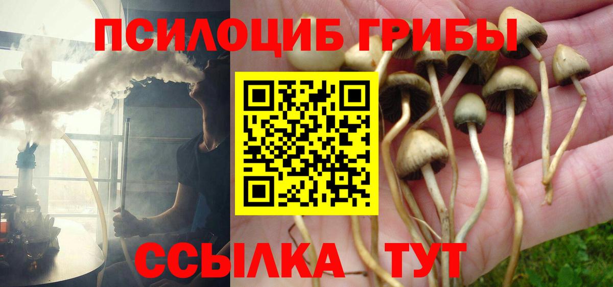 Псилоцибиновые грибы MAGIC MUSHROOMS  Вход с VPN  цены   Советский 